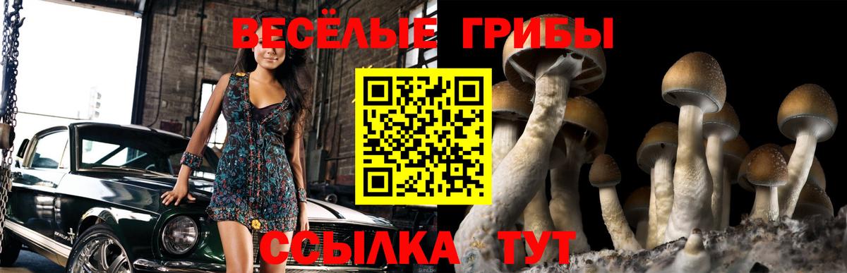Борзя  Галлюциногенные грибы ЛСД  Вход с VPN 
