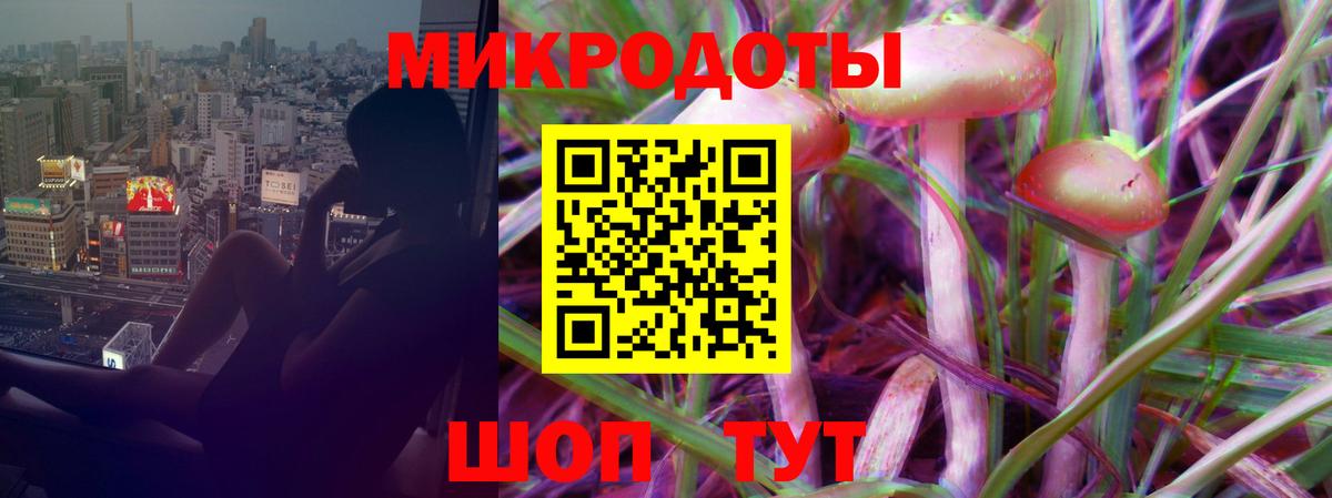 Псилоцибиновые грибы GOLDEN TEACHER Борзя